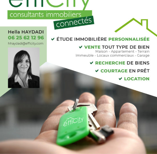 Flyer Efficity-1